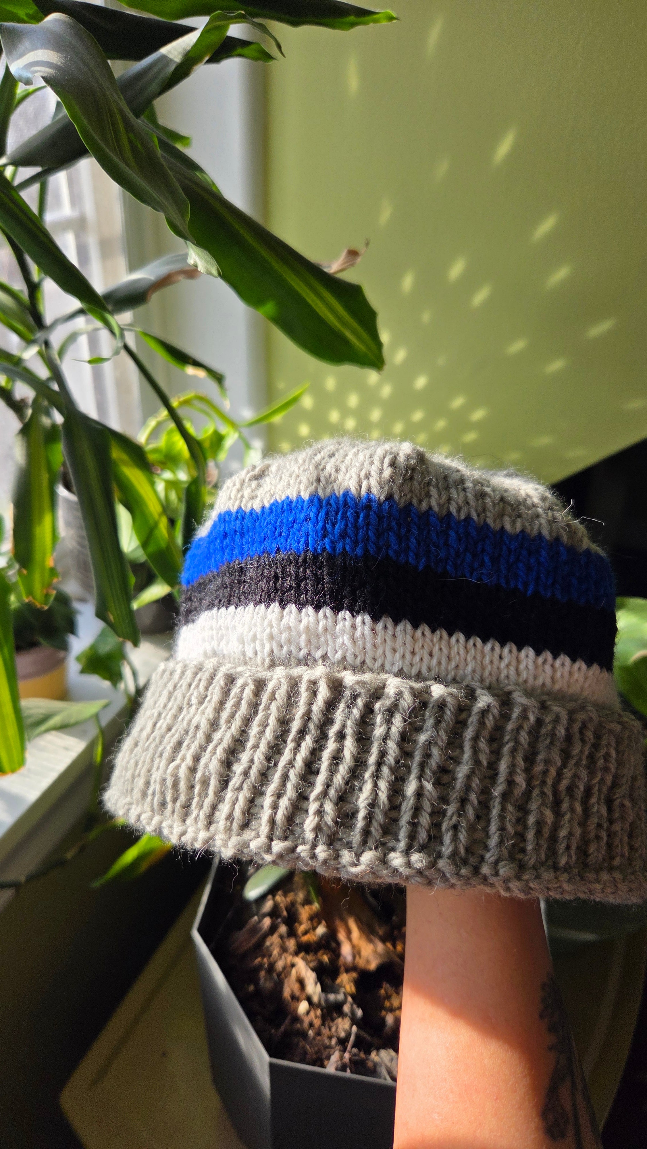 Eesti Lipp Hat / Estonian Flag Hat