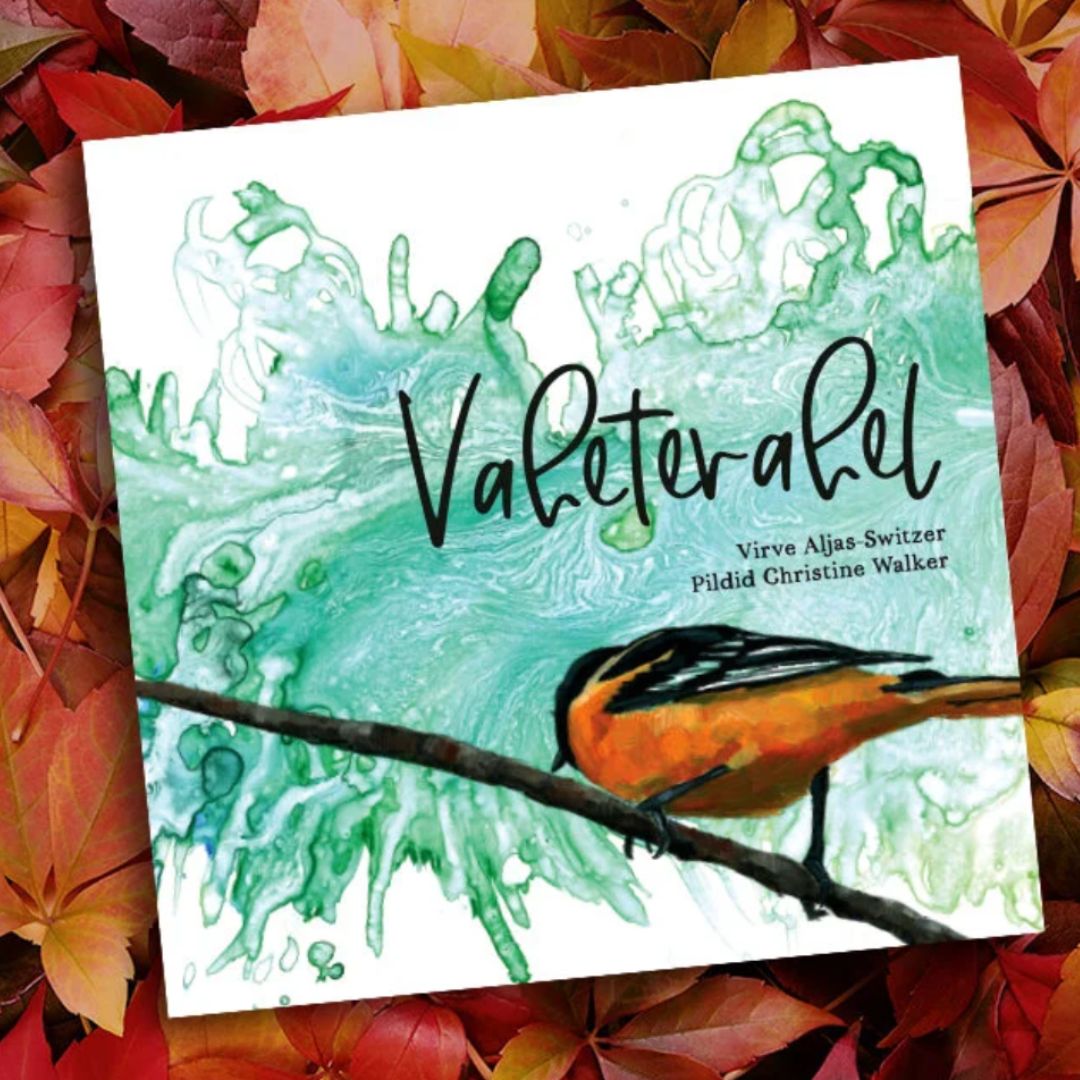 Vahetevahel - Hardcover Book